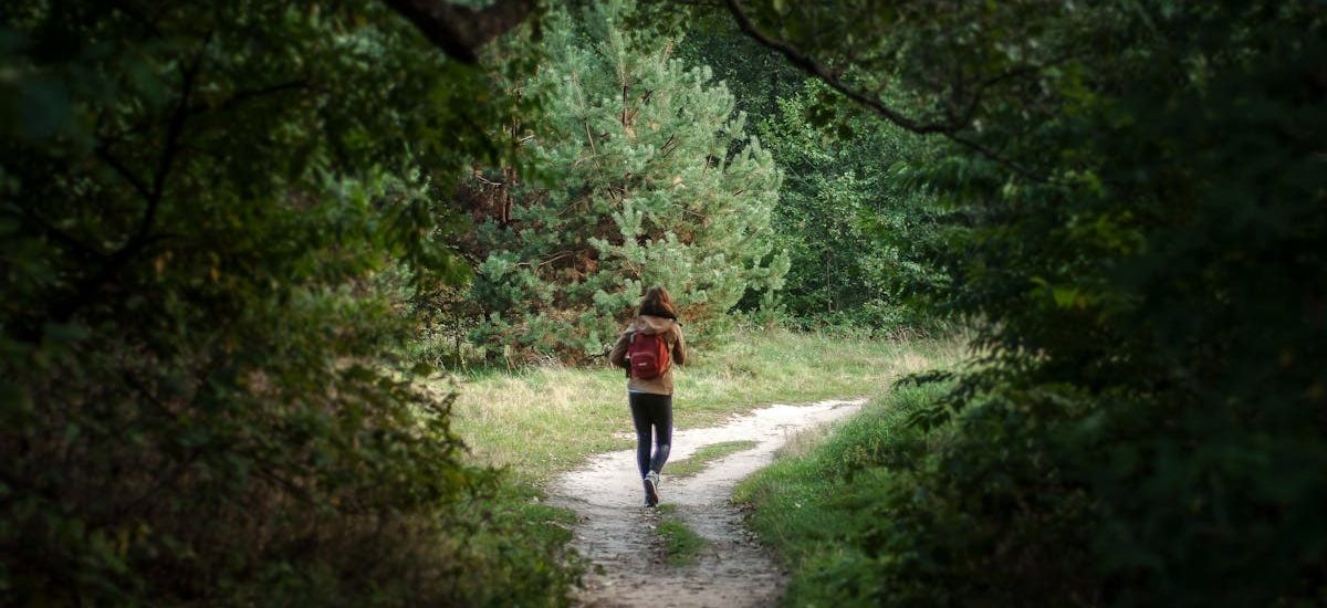 Anonymous distant backpacker with rucksack strolling on trail in woods with lush green trees during trekking in nature on summer day